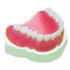 ミラクルデンチャー